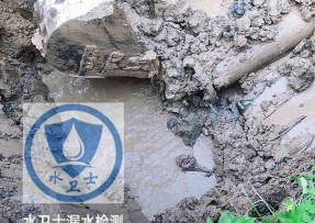 齐齐哈尔水管漏水检测公司5